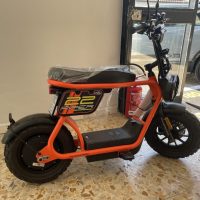 BA53F902-D735-4151-B6BF-B4C3F906B02B-1024x768