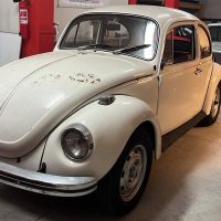 WhatsApp Image 2025-05-19 at 13.47.55 (1)